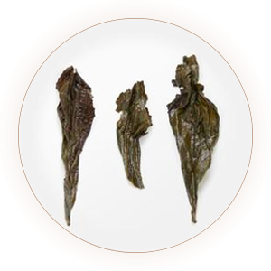 大红袍岩茶叶底