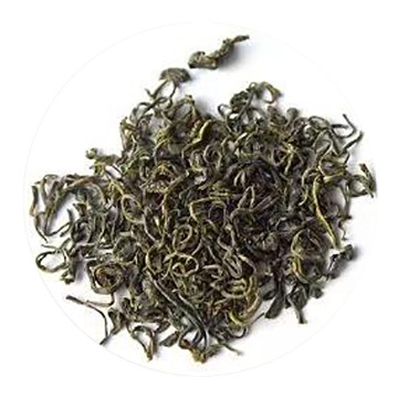 南安石亭绿外形