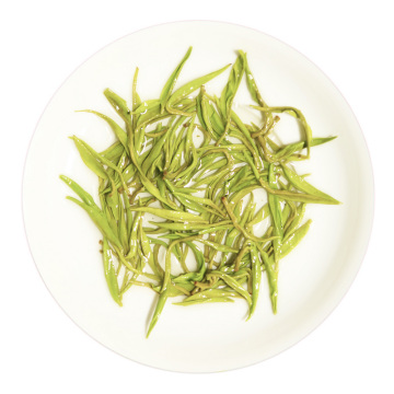 保靖黄金茶叶底