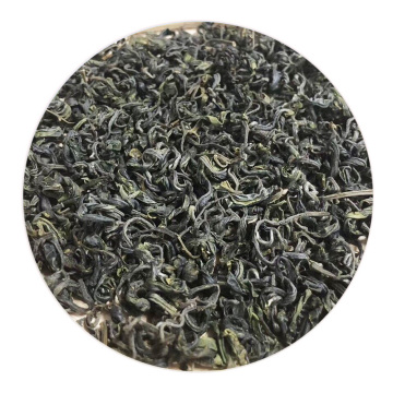 大鄣山云雾茶外形