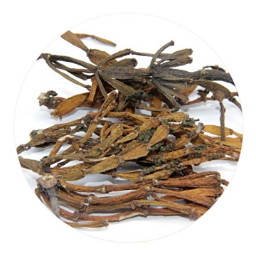 螃蟹脚普洱茶外形