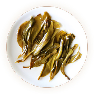 昔归普洱茶叶底