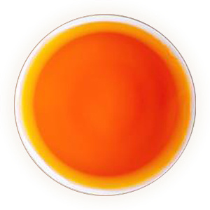 昆仑雪菊茶汤色