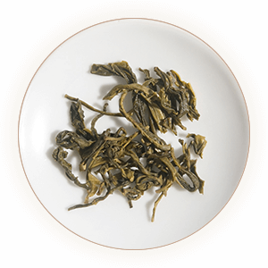 广东大叶青叶底