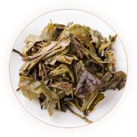 松溪小白茶叶底