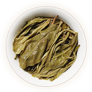 冰岛普洱茶叶底