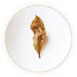 白鸡冠武夷岩茶叶底